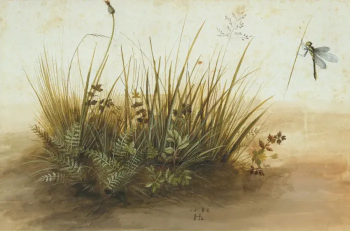 Framed Print : A Small Piece of Turf, 1584. Creator: Hans Hoffmann Framed Print : A Small Piece of Turf, 1584. Creator: Hans Hoffmann