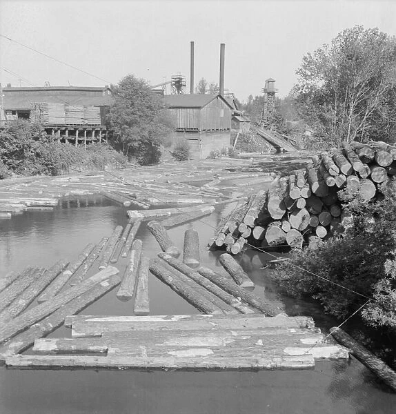 Small sawmill on the Marys River near Corvallis, Oregon, 1939. Creator: Dorothea Lange