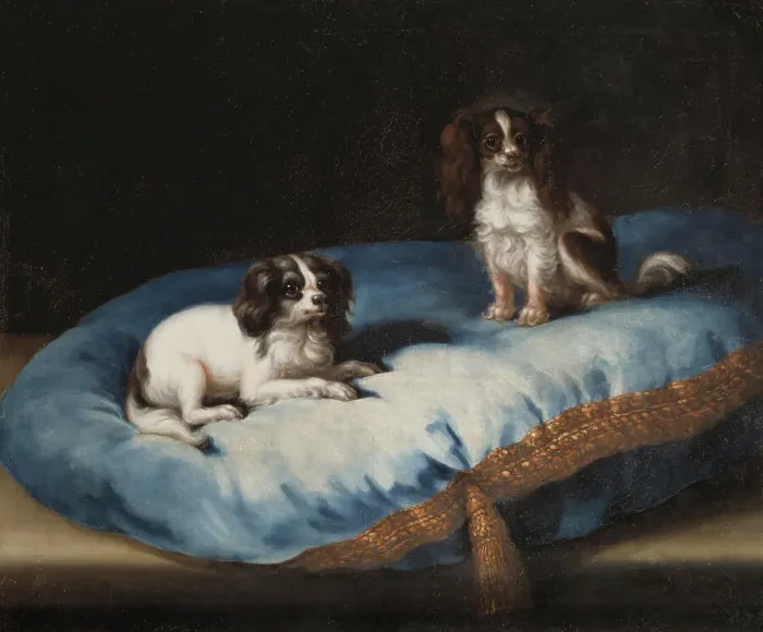 Framed Print : Two smaller dogs, c17th century. Creator: David Klocker Ehrenstrahl Framed Print : Two smaller dogs, c17th century. Creator: David Klocker Ehrenstrahl