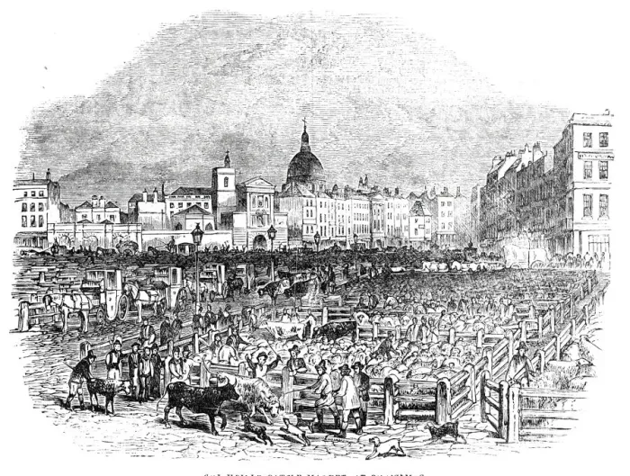 Framed Print : Smithfield Cattle Market, at Christmas, 1844. Creator: Unknown Framed Print : Smithfield Cattle Market, at Christmas, 1844. Creator: Unknown