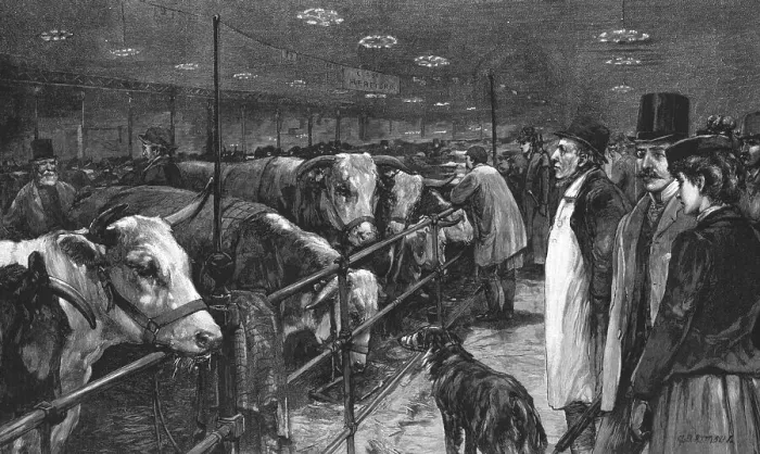 Framed Print : The Smithfield Club Cattle Show at the Agricultural Hall, 1891. Creator: George Harrison Framed Print : The Smithfield Club Cattle Show at the Agricultural Hall, 1891. Creator: George Harrison
