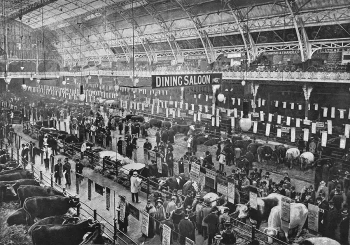 Framed Print : At the Smithfield Club cattle show, Agricultural Hall, Islington, London, 1902 (1903) Framed Print : At the Smithfield Club cattle show, Agricultural Hall, Islington, London, 1902 (1903)
