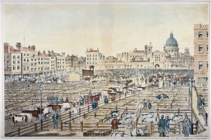 Framed Print : Smithfield Market, City of London, 1855. Artist Framed Print : Smithfield Market, City of London, 1855. Artist