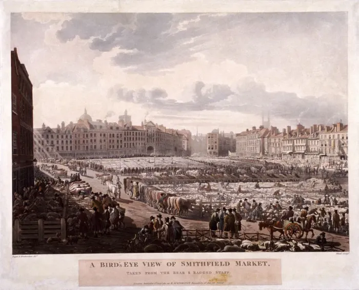 Framed Print : Smithfield Market, London, 1811. Artist: Thomas Rowlandson Framed Print : Smithfield Market, London, 1811. Artist: Thomas Rowlandson