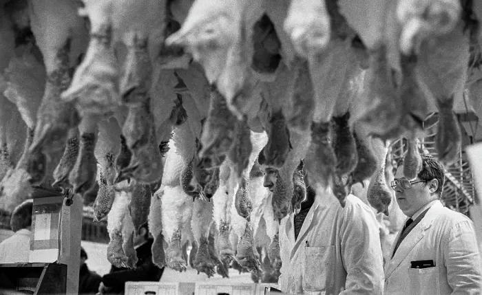 Framed Print : Smithfield Meat Market, City of London, January 1980. Creator: Peter Thompson Framed Print : Smithfield Meat Market, City of London, January 1980. Creator: Peter Thompson