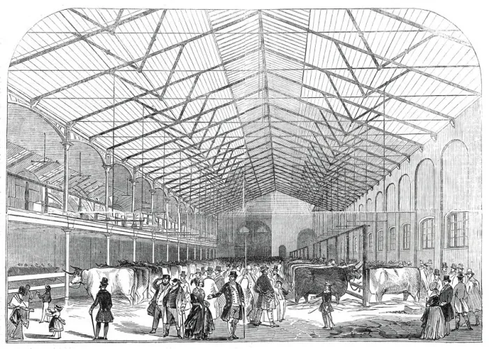 Framed Print : The Smithfield Prize Cattle Show, 1845. Creator: Unknown Framed Print : The Smithfield Prize Cattle Show, 1845. Creator: Unknown