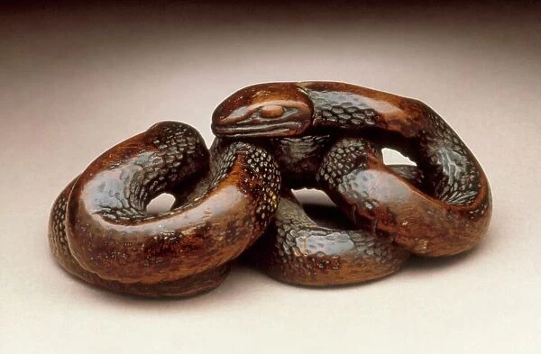 Snake, 18th century. Creator: Unknown