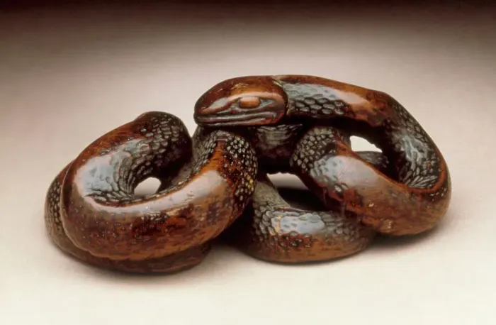 Framed Print : Snake, 18th century. Creator: Unknown Framed Print : Snake, 18th century. Creator: Unknown