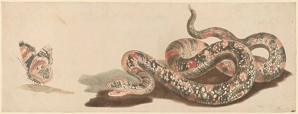 Snake and Butterfly, 1680s  /  1690s. Creator: Workshop of Johann Teyler