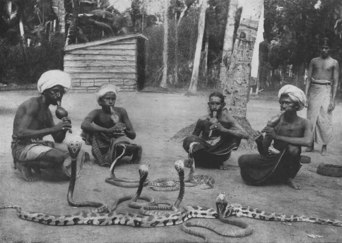Framed Print : Snake Charmers, c1890, (1910). Artist: Alfred William Amandus Plate Framed Print : Snake Charmers, c1890, (1910). Artist: Alfred William Amandus Plate