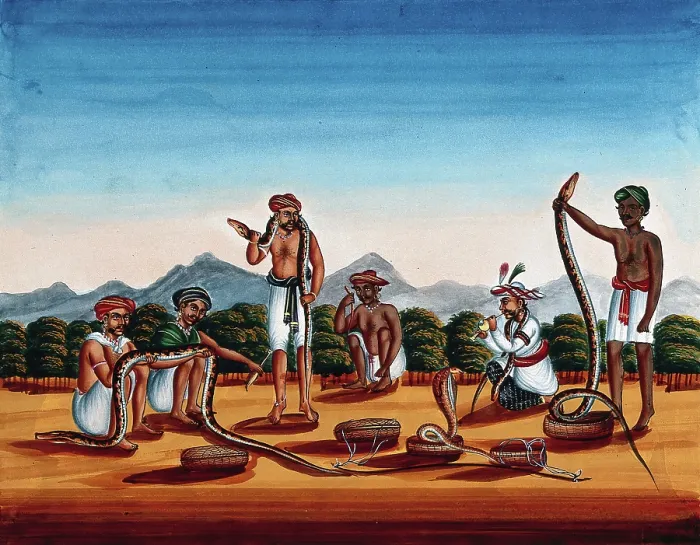 Framed Print : Six snake charmers displaying their snakes, (between 1800 and 1899?). Creator: Unknown Framed Print : Six snake charmers displaying their snakes, (between 1800 and 1899?). Creator: Unknown