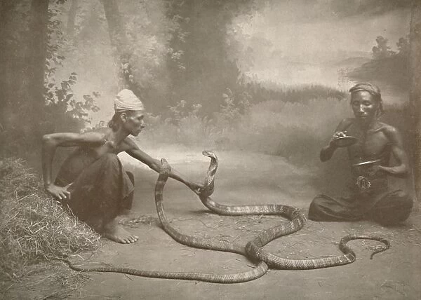 Snake Charrmers with Hamadryads (Kuy Cobras), 1900. Creator: Unknown