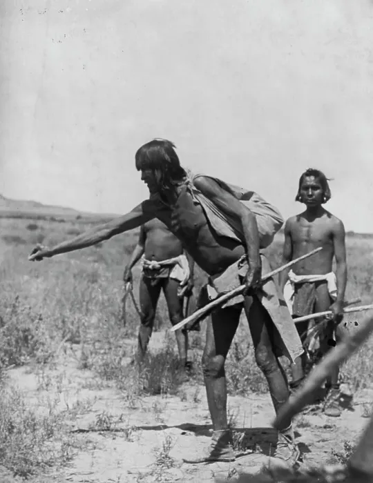 Framed Print : Snake gathering [D]-Hopi, c1907. Creator: Edward Sheriff Curtis
