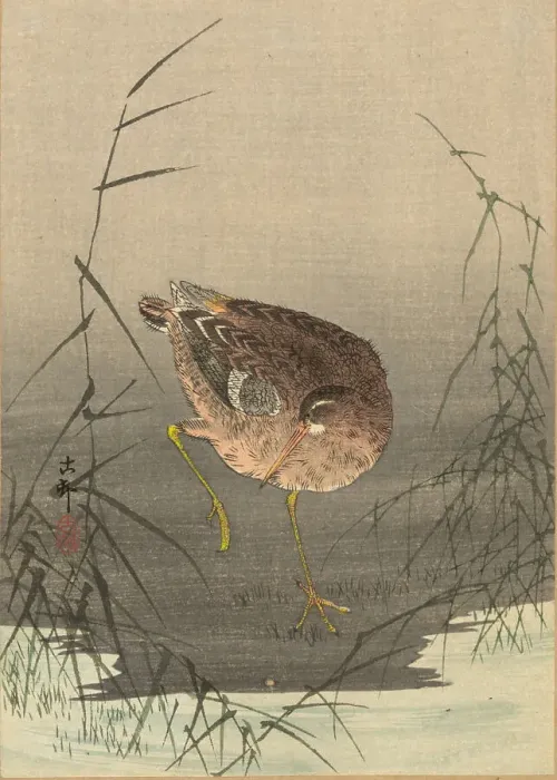 Framed Print : A snipe in a marsh, Between 1900 and 1915. Creator: Ohara, Koson (1877-1945) Framed Print : A snipe in a marsh, Between 1900 and 1915. Creator: Ohara, Koson (1877-1945)
