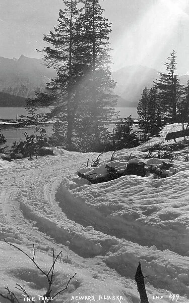 Snow covered trail, 1916. Creator: Unknown