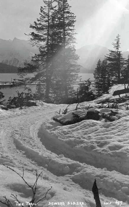 Framed Print : Snow covered trail, 1916. Creator: Unknown Framed Print : Snow covered trail, 1916. Creator: Unknown