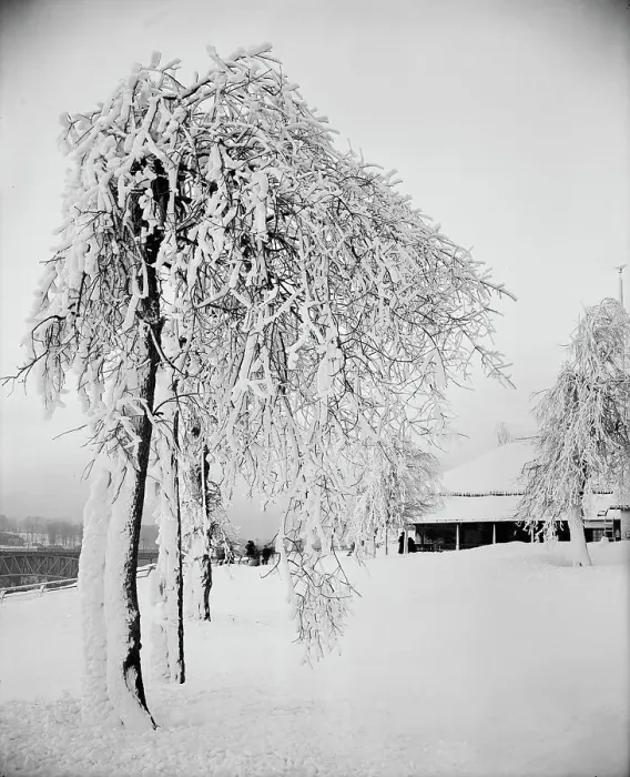 Framed Print : Snow studies, Prospect Park, Niagara, between 1880 and 1901. Creator: Unknown Framed Print : Snow studies, Prospect Park, Niagara, between 1880 and 1901. Creator: Unknown