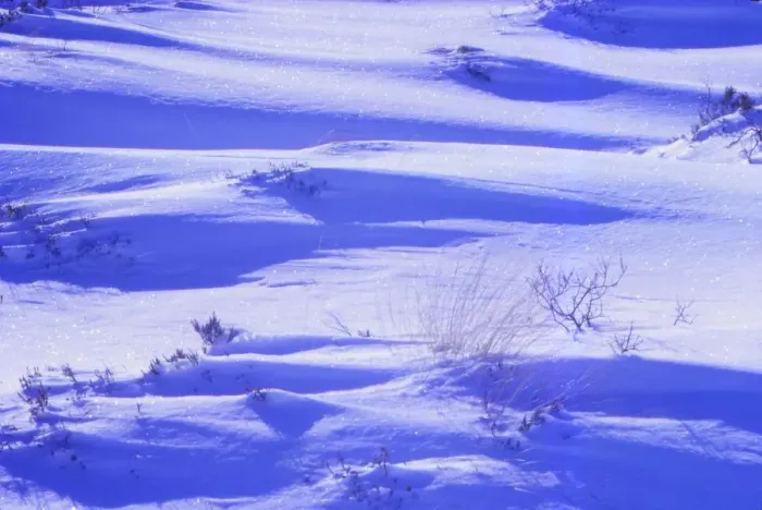 Framed Print : Snow surface on Rannoch Moor in February. c1000 ft. above sea, Argyll, Scotland, 20th century. Artist: CM Dixon Framed Print : Snow surface on Rannoch Moor in February. c1000 ft. above sea, Argyll, Scotland, 20th century. Artist: CM Dixon