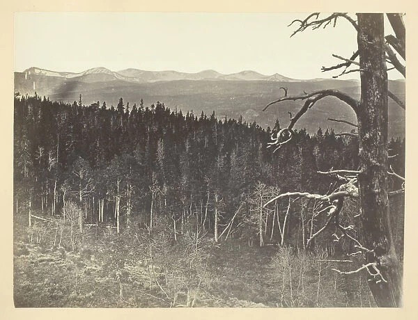Snow and Timber Line, Medicine Bow Mountain, 1868  /  69. Creator: Andrew Joseph Russell