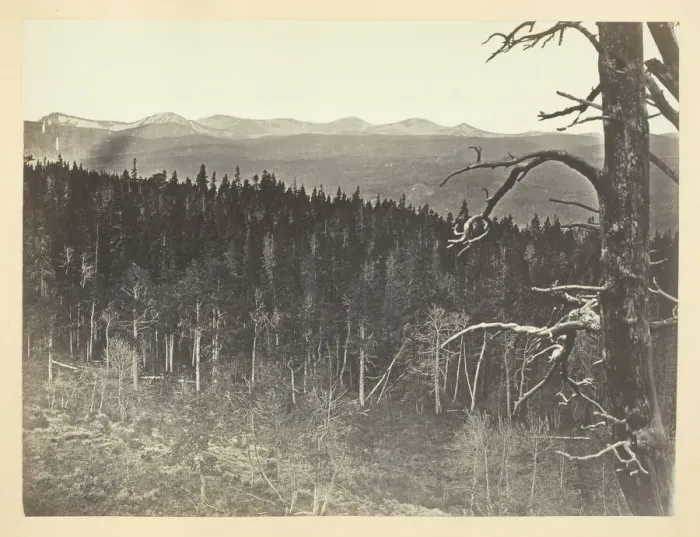 Framed Print : Snow and Timber Line, Medicine Bow Mountain, 1868 / 69. Creator: Andrew Joseph Russell Framed Print : Snow and Timber Line, Medicine Bow Mountain, 1868 / 69. Creator: Andrew Joseph Russell