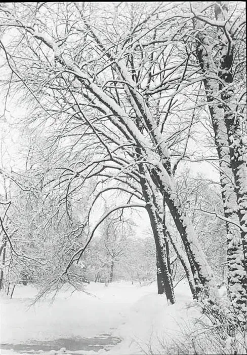 Framed Print : Snowscape, Berlin, 1888 / 92. Creator: Alfred Stieglitz Framed Print : Snowscape, Berlin, 1888 / 92. Creator: Alfred Stieglitz