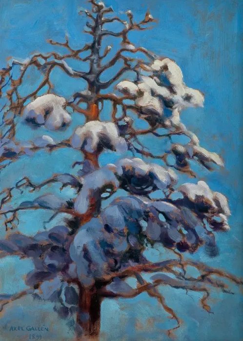 Framed Print : Snowy Pine Tree, 1899 Framed Print : Snowy Pine Tree, 1899