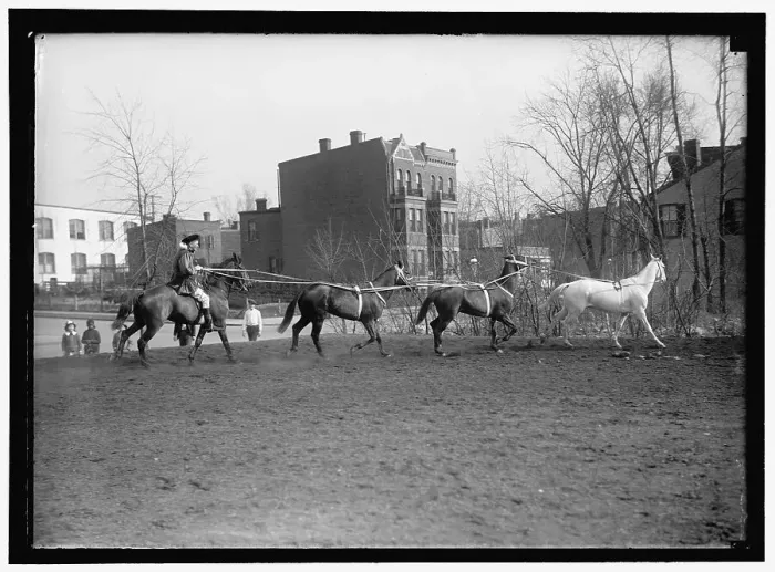 Framed Print : Society Circus, between 1910 and 1917. Creator: Harris & Ewing. Society Circus, between 1910 and 1917. Creator: Harris & Ewing Framed Print : Society Circus, between 1910 and 1917. Creator: Harris & Ewing. Society Circus, between 1910 and 1917. Creator: Harris & Ewing