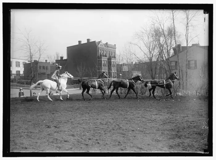Framed Print : Society Circus, between 1910 and 1917. Creator: Harris & Ewing. Society Circus, between 1910 and 1917. Creator: Harris & Ewing Framed Print : Society Circus, between 1910 and 1917. Creator: Harris & Ewing. Society Circus, between 1910 and 1917. Creator: Harris & Ewing