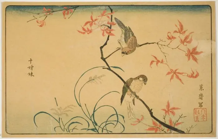 Framed Print : Society Finches (Jushimatsu), Japan, 1790s. Creator: Kitao Masayoshi Framed Print : Society Finches (Jushimatsu), Japan, 1790s. Creator: Kitao Masayoshi
