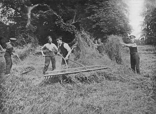Soldiers assisting the farmers by getting in the hay, 1915
