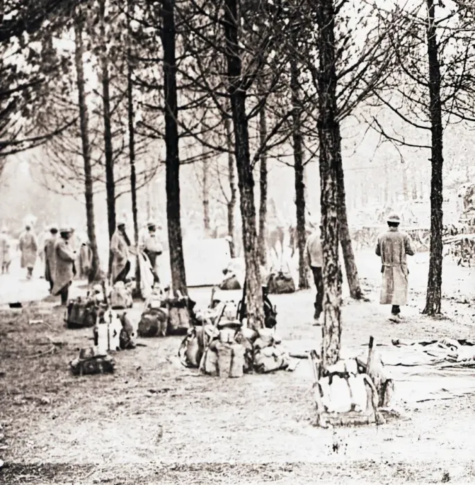 Framed Print : Soldiers and packs in woods, c1914-c1918 Framed Print : Soldiers and packs in woods, c1914-c1918