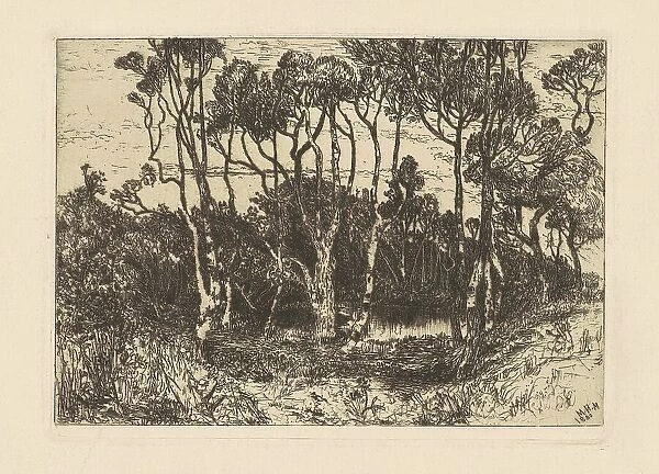 Solitude, 1880. Creator: Mary Nimmo Moran