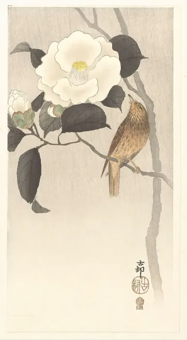 Framed Print : Songbird and blooming camellia, 1900-1910. Creator: Ohara, Koson (1877-1945) Framed Print : Songbird and blooming camellia, 1900-1910. Creator: Ohara, Koson (1877-1945)
