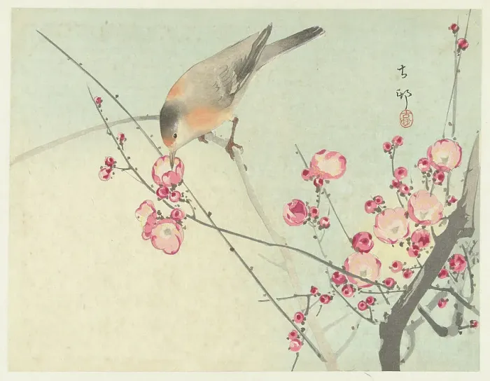 Framed Print : Songbird on blossom branch, Between 1910 and 1920. Creator: Ohara, Koson (1877-1945) Framed Print : Songbird on blossom branch, Between 1910 and 1920. Creator: Ohara, Koson (1877-1945)