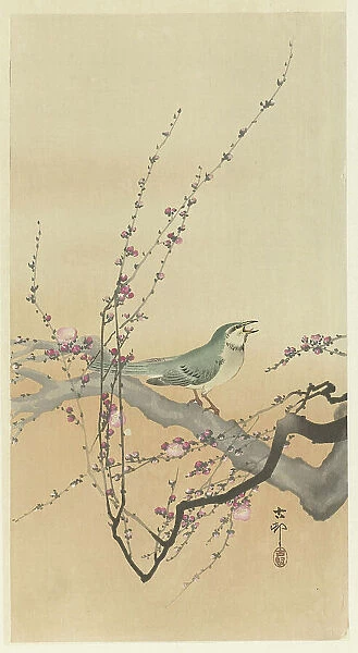 Songbird and plum blossom. Creator: Ohara, Koson (1877-1945)