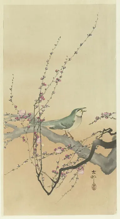 Framed Print : Songbird and plum blossom. Creator: Ohara, Koson (1877-1945) Framed Print : Songbird and plum blossom. Creator: Ohara, Koson (1877-1945)
