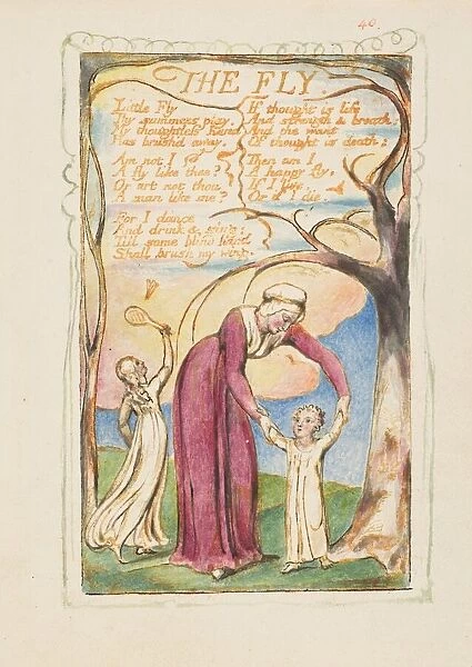 Songs of Innocence and of Experience: The Fly, ca. 1825. Creator: William Blake