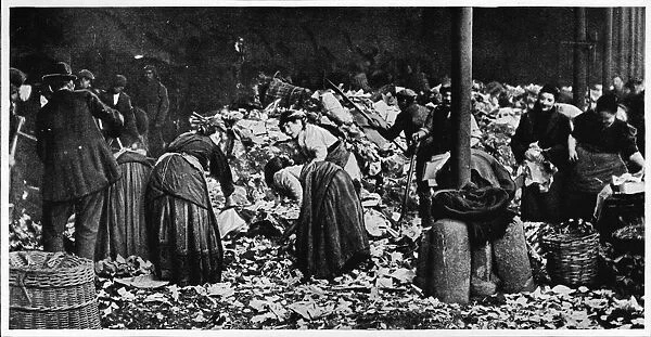 Sorting a dust heap at a County Council Depot, London, c1850 (1903)