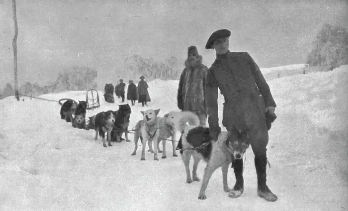 Framed Print : Sous la direction de notre consul en Alaska, que l'on voit ici la tete d'un attelage... 1915 (1924 Creator: Unknown) Framed Print : Sous la direction de notre consul en Alaska, que l'on voit ici la tete d'un attelage... 1915 (1924 Creator: Unknown)