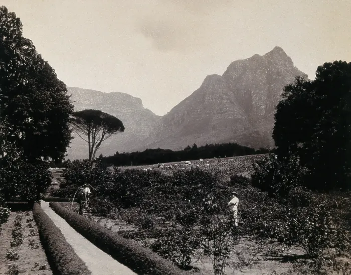 Framed Print : South Africa: Cecil Rhodes's garden near Devil's Peak in Johannesburg, 1896 Framed Print : South Africa: Cecil Rhodes's garden near Devil's Peak in Johannesburg, 1896