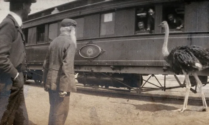Framed Print : South Africa: two men and an ostrich beside a railway carriage, 1905. Creator: Miss Stower Framed Print : South Africa: two men and an ostrich beside a railway carriage, 1905. Creator: Miss Stower