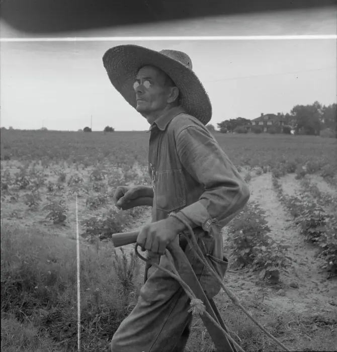 Framed Print : South Carolina sharecropper, 1937. Creator: Dorothea Lange Framed Print : South Carolina sharecropper, 1937. Creator: Dorothea Lange