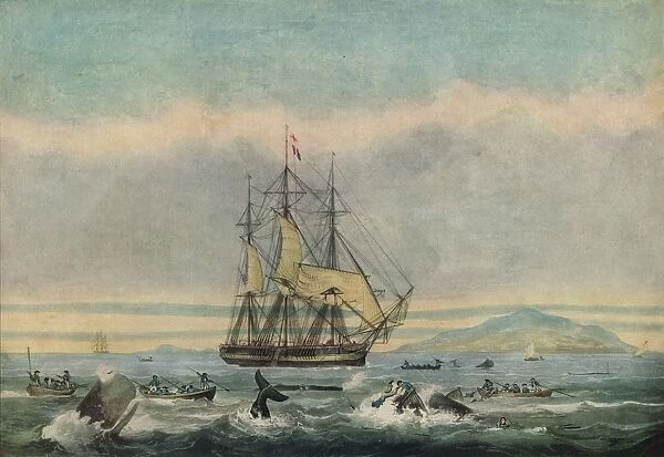 South Sea Whale Fishery, 1825. Artist: Thomas Sutherland