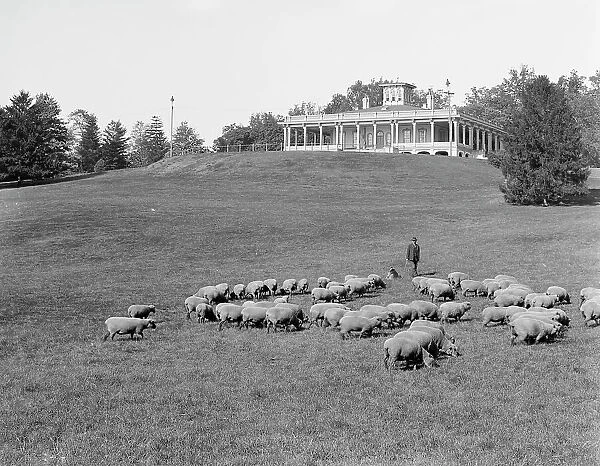 South terrace and Mansion, Druid Hill Park, Baltimore, Md. c1906. Creator: Unknown