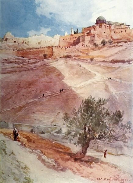 South Wall of Jerusalem from the North End of the Village of Siloam, 1902. Creator