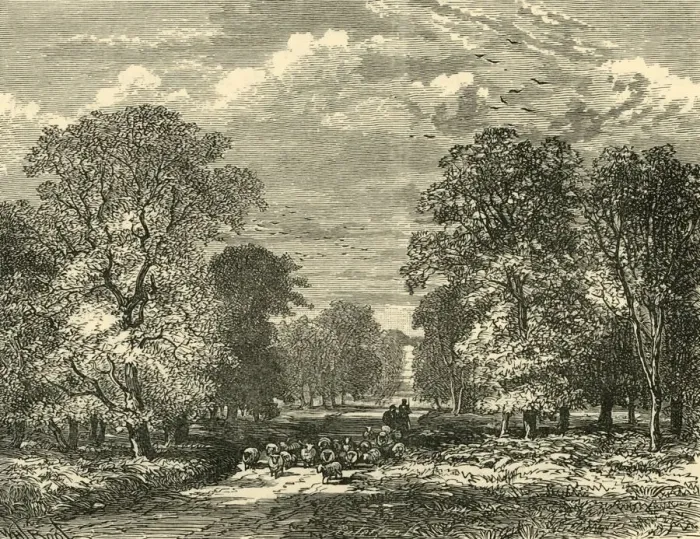 Framed Print : The Southampton Road, 1898. Creator: Unknown
