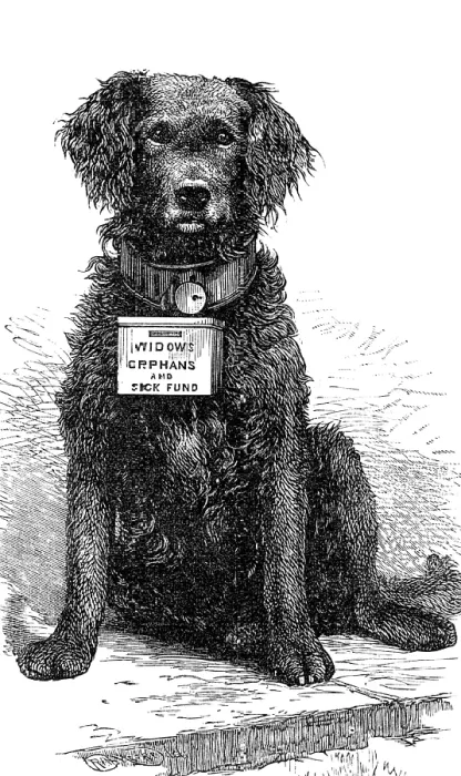 Framed Print : The Southsea and Ryde Collecting Dog 'Brake', 1883. Creator: Unknown Framed Print : The Southsea and Ryde Collecting Dog 'Brake', 1883. Creator: Unknown