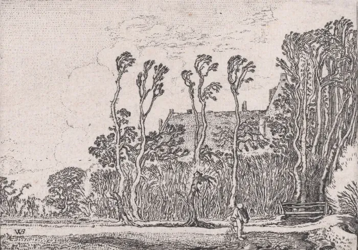 Framed Print : The Sower, from Verscheyden Landtschapjes (Various Little Landscapes), Plate 5, ca. 1616 Framed Print : The Sower, from Verscheyden Landtschapjes (Various Little Landscapes), Plate 5, ca. 1616