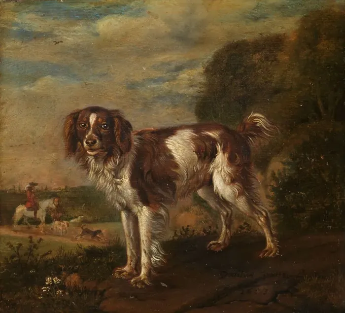 Framed Print : A spaniel, 1653. Creator: Paulus Potter Framed Print : A spaniel, 1653. Creator: Paulus Potter