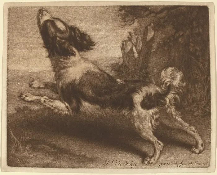 Framed Print : A Spaniel Jumping, 1680. Creator: Jan Verkolje Framed Print : A Spaniel Jumping, 1680. Creator: Jan Verkolje